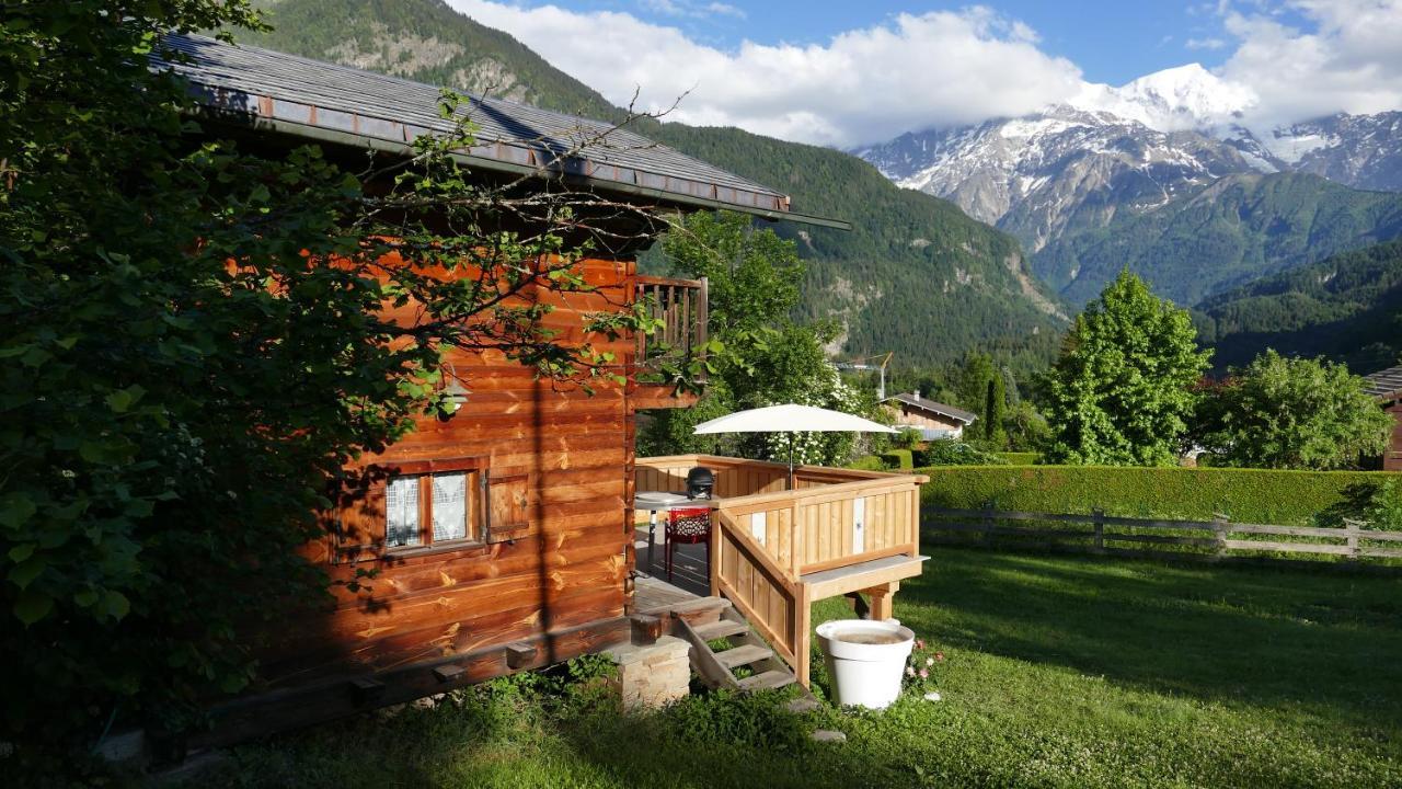 Chamonix Petit Cocooning Chalet *