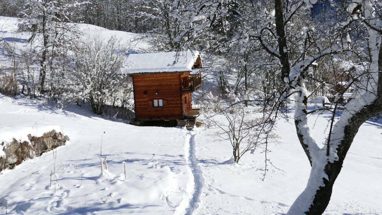Chamonix Petit Cocooning Chalet *